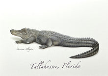 Load image into Gallery viewer, Notecard Tallahassee Alligator
