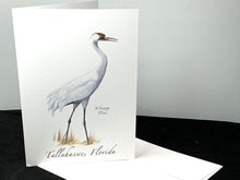 Load image into Gallery viewer, Notecard Tallahassee Crane
