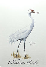 Load image into Gallery viewer, Notecard Tallahassee Crane
