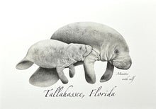 Load image into Gallery viewer, Notecard Tallahassee Manatee
