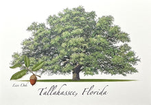 Load image into Gallery viewer, Notecard Tallahassee Live Oak
