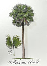 Load image into Gallery viewer, Notecard Tallahassee Sabal Pal
