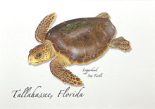 Load image into Gallery viewer, Notecard Tallahassee Loggerhead
