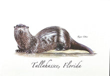 Load image into Gallery viewer, Notecard Tallahassee River Otter
