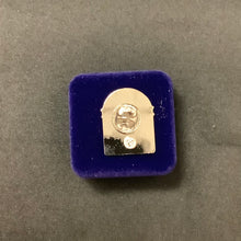 Load image into Gallery viewer, America250FL Lapel Pin
