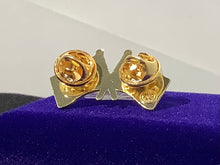 Load image into Gallery viewer, Florida Friendship Flag Lapel Pin
