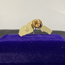 Load image into Gallery viewer, Florida Shaped Lapel Pin
