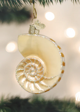 Load image into Gallery viewer, Ornament Nautilus Shell OWC
