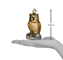 Load image into Gallery viewer, Ornament Owl OWC
