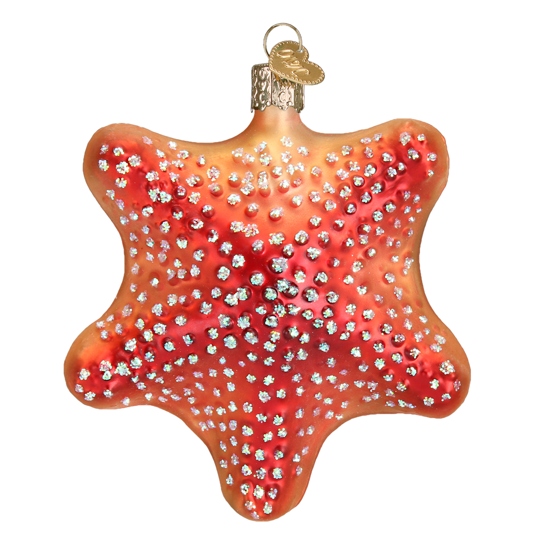 Ornament Starfish OWC