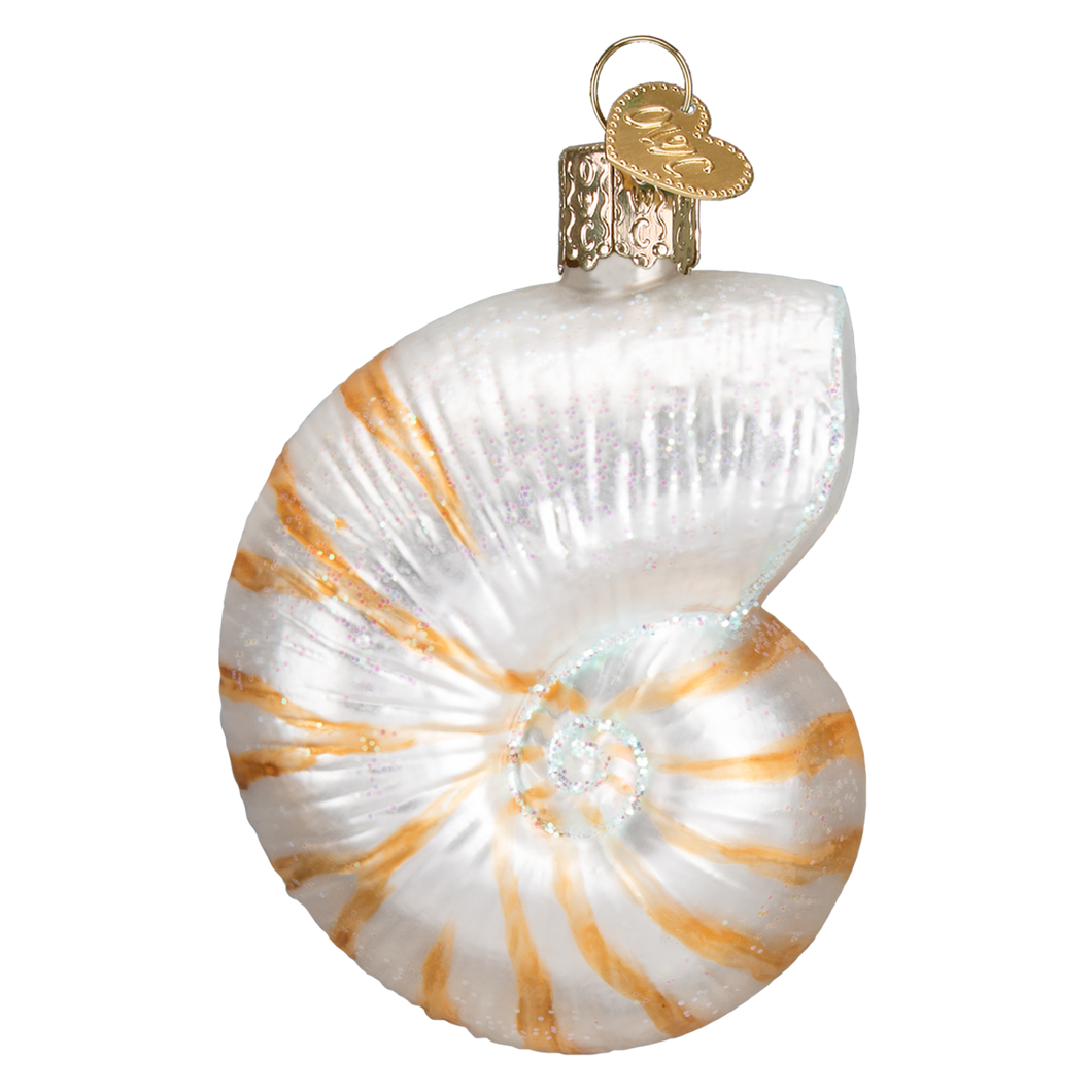 Ornament Nautilus Shell OWC