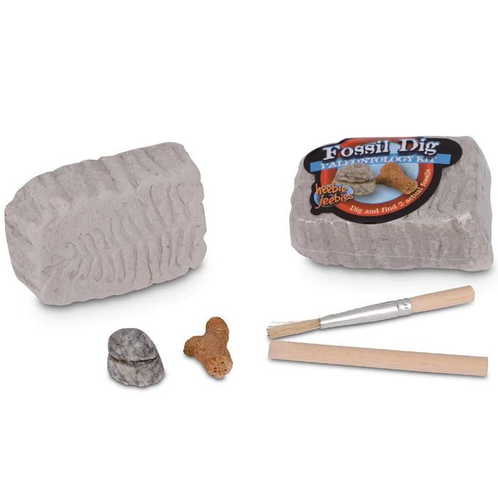 Fossil Dig Kit Paleontology