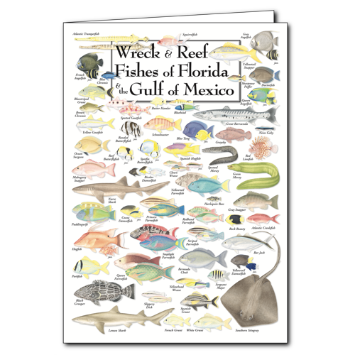 Notecard Wreck & Reef Fishes of FL & Gulf