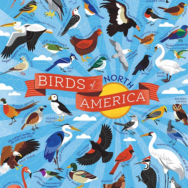 Puzzle Birds Of America