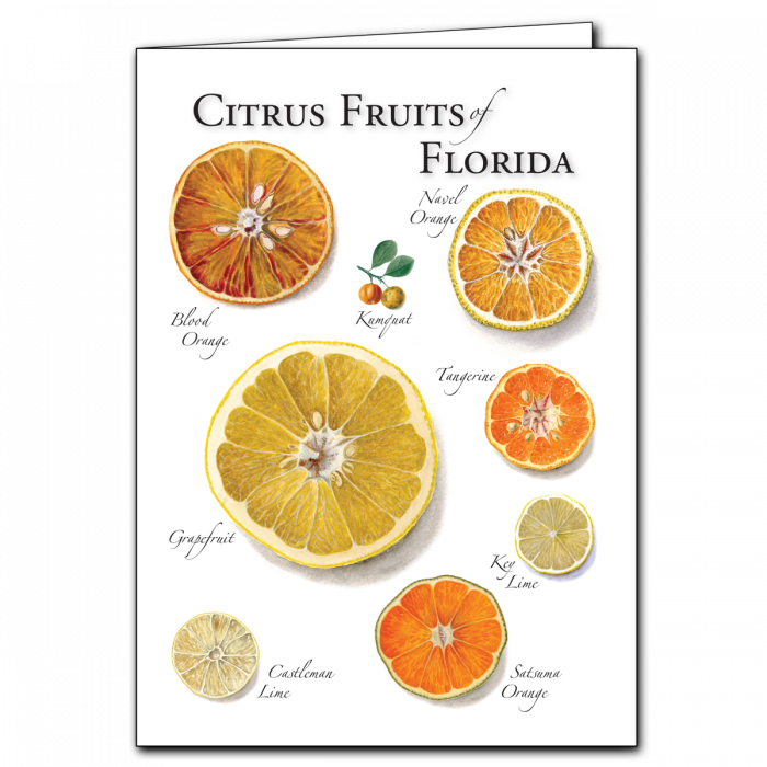 Notecard Citrus Fruits of Florida