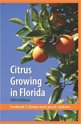 Citrus Growing In Florida 5Th