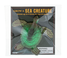 Load image into Gallery viewer, Grow a Sea Creature
