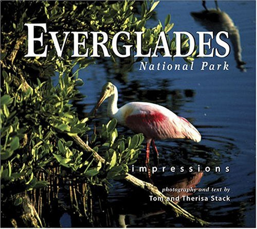 Everglades Impressions